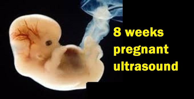 Pregnant 8 ultrasound weeks 8 Weeks